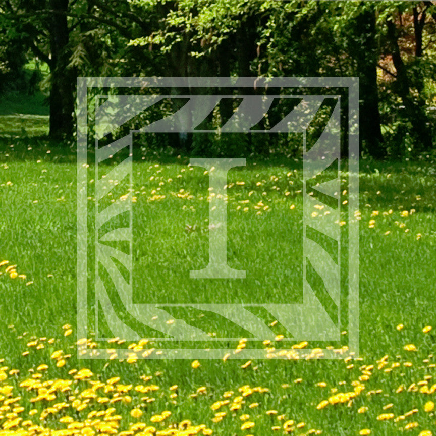 Zebra Decorative I Initial
