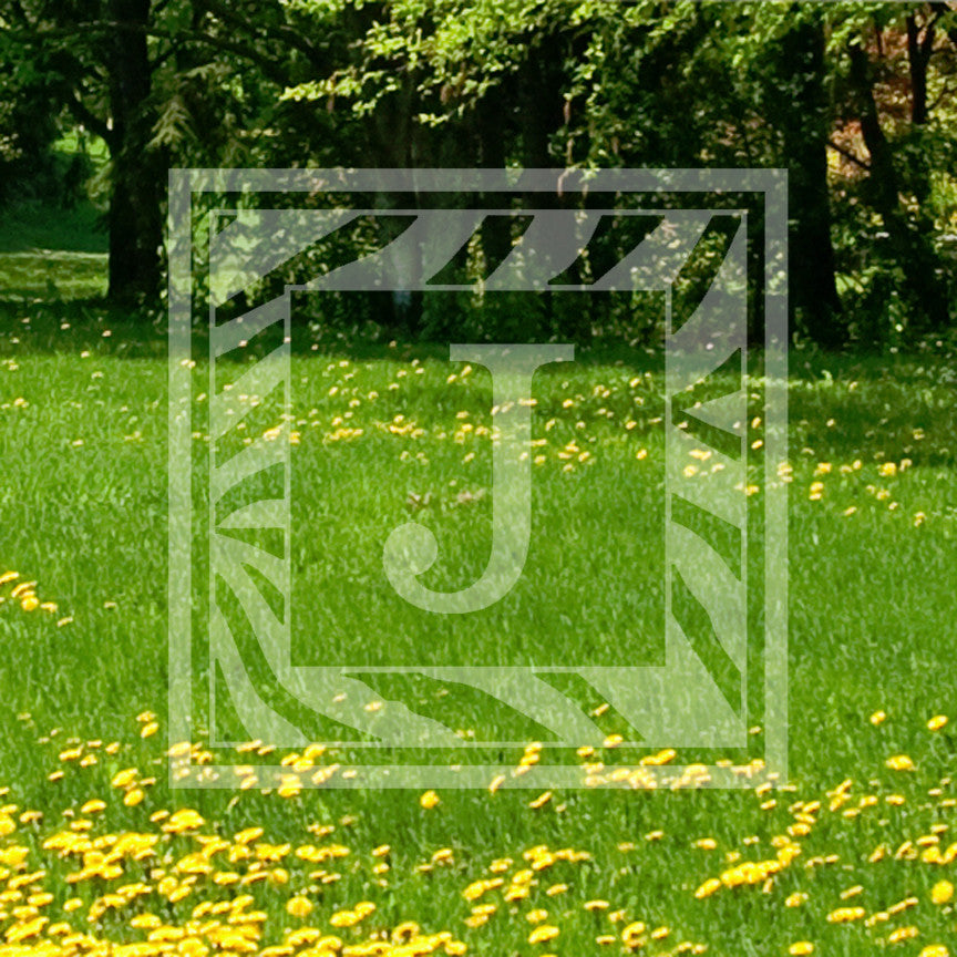 Zebra Decorative J Initial