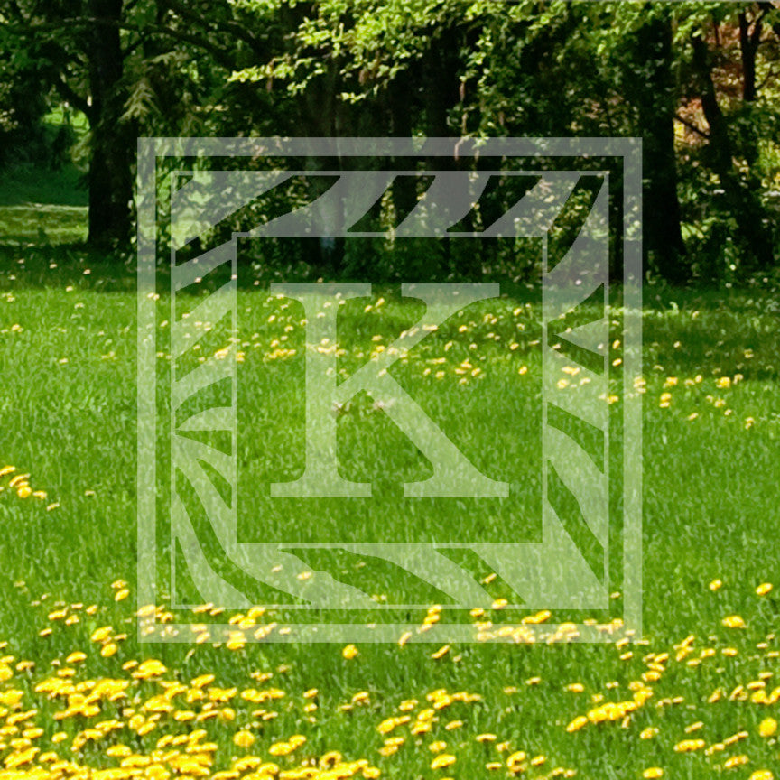 Zebra Decorative K Initial