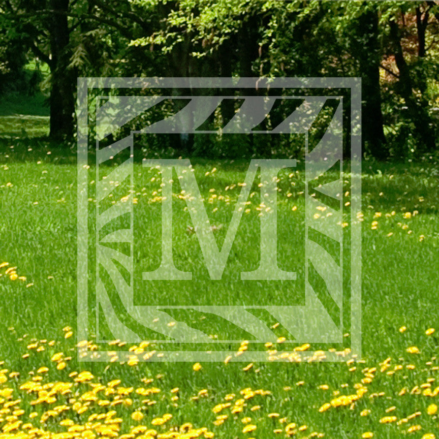 Zebra Decorative M Initial