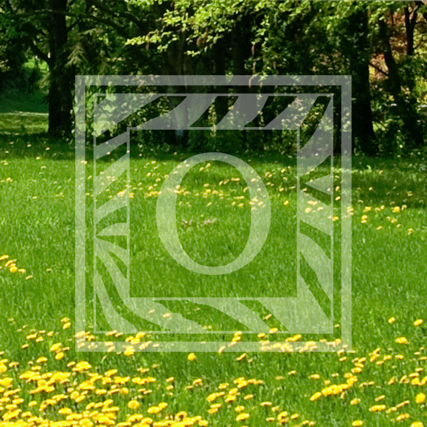 Zebra Decorative O Initial