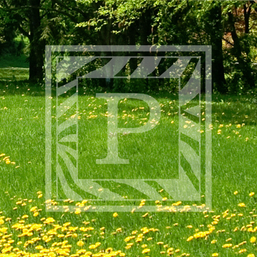 Zebra Decorative P Initial