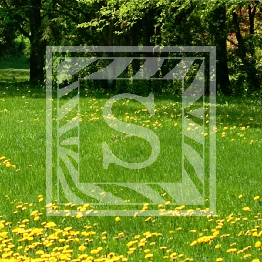 Zebra Decorative S Initial