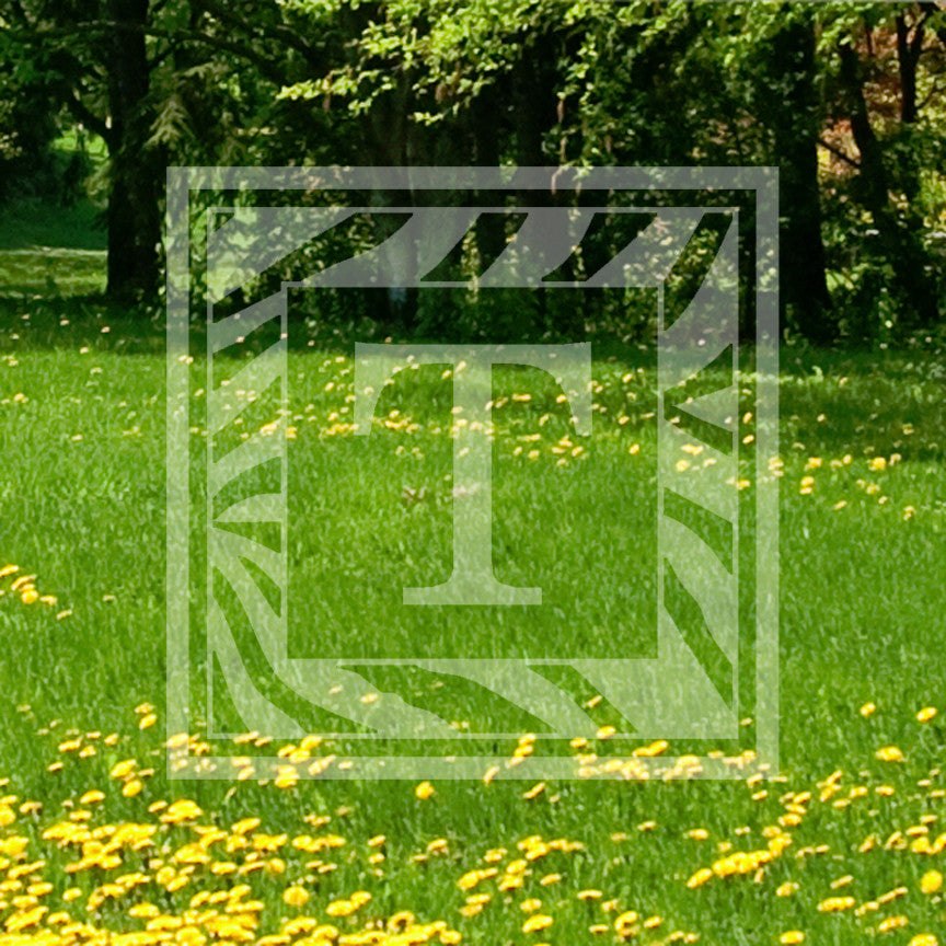 Zebra Decorative T Initial