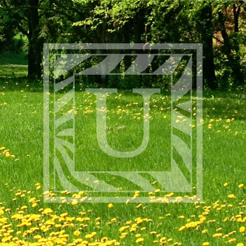 Zebra Decorative U Initial