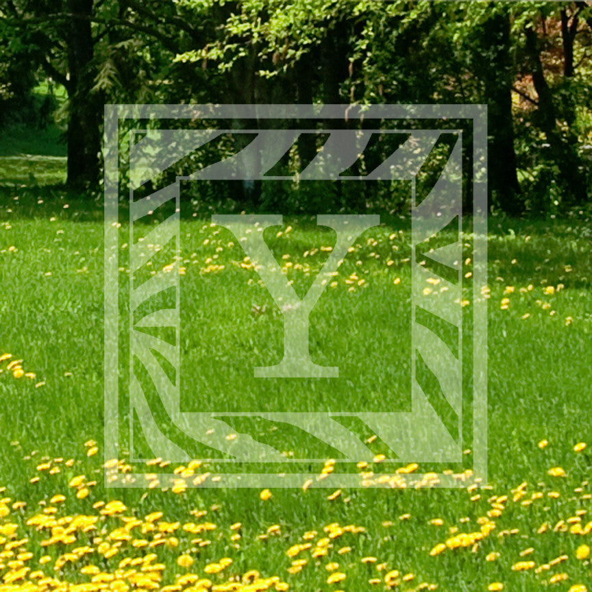 Zebra Decorative Y Initial