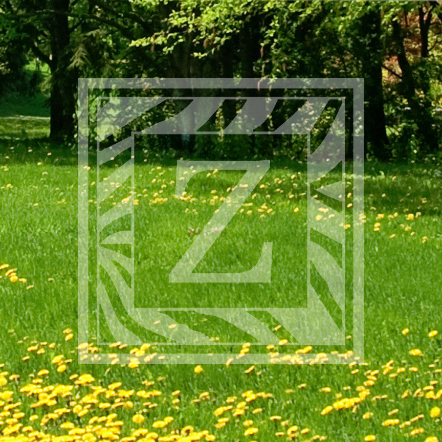 Zebra Decorative Z Initial