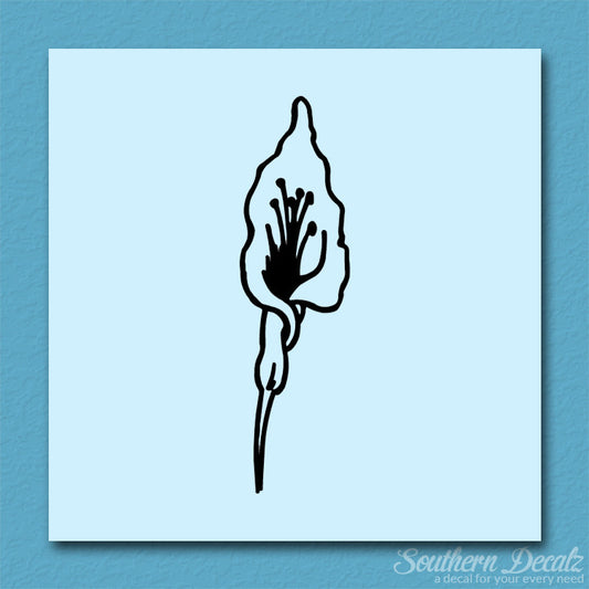 Calla Lilly Flower