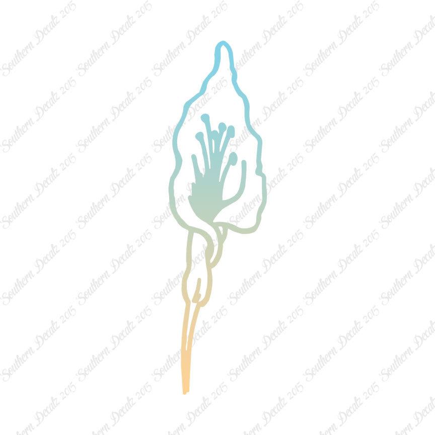 Calla Lilly Flower