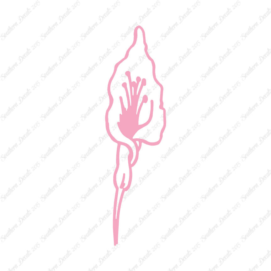 Calla Lilly Flower