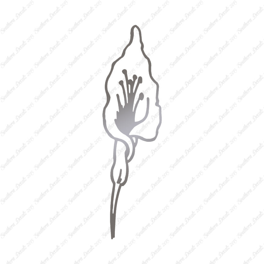 Calla Lilly Flower