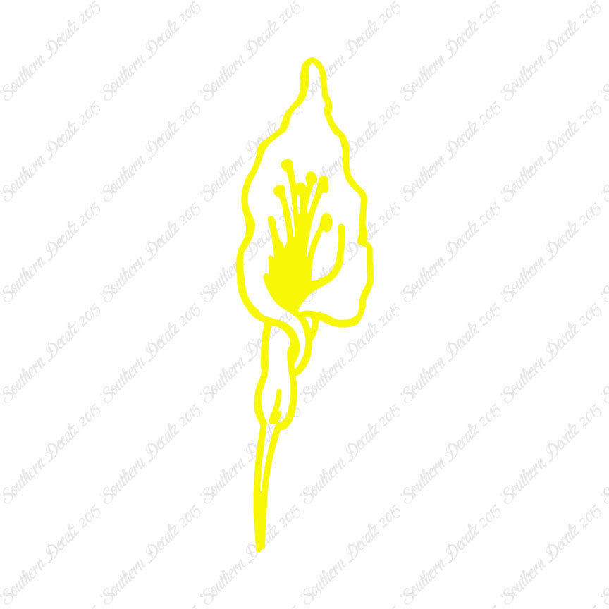 Calla Lilly Flower