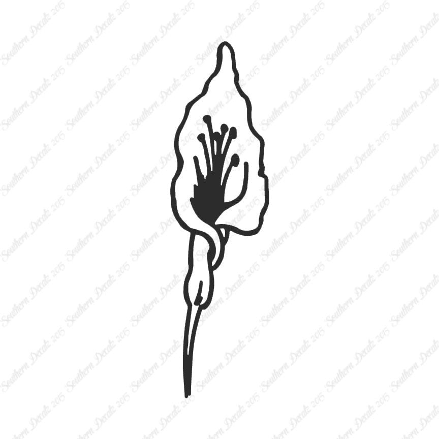 Calla Lilly Flower