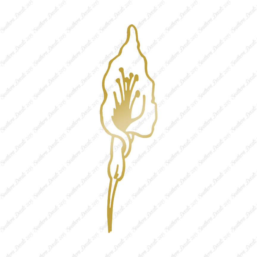 Calla Lilly Flower