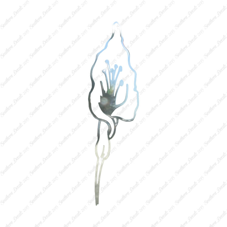 Calla Lilly Flower