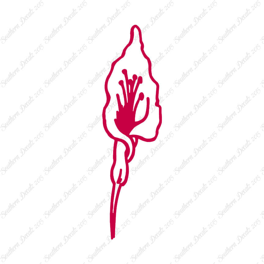 Calla Lilly Flower