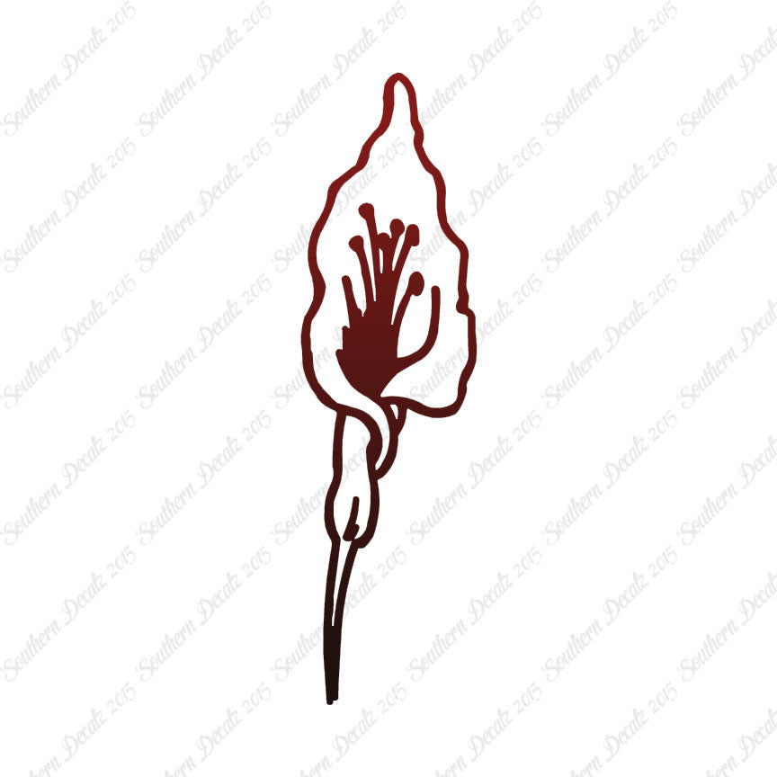 Calla Lilly Flower