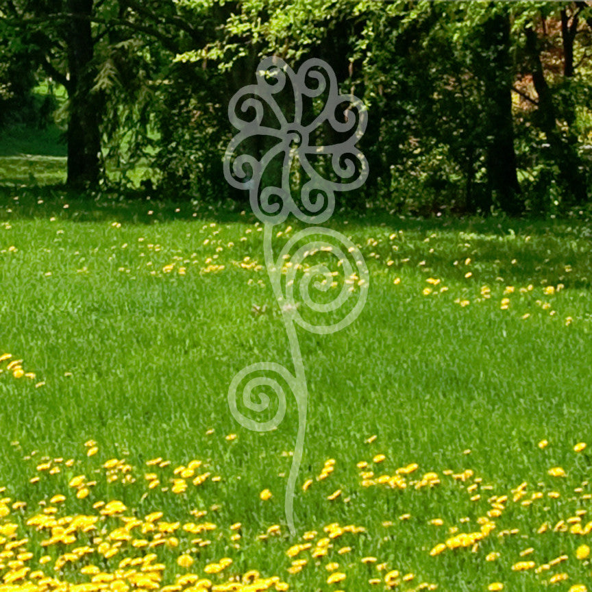Rose Flower Swirl