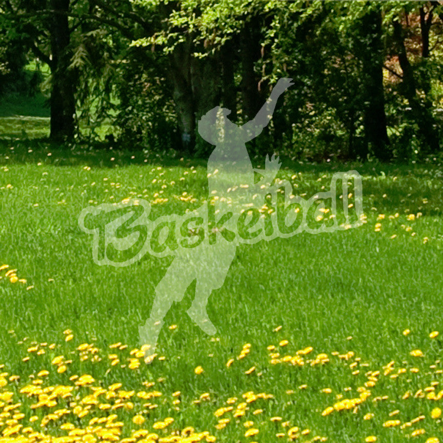 Basketball Player Sport