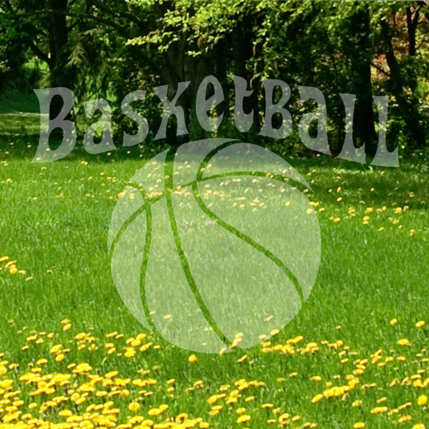 Basketball Sport