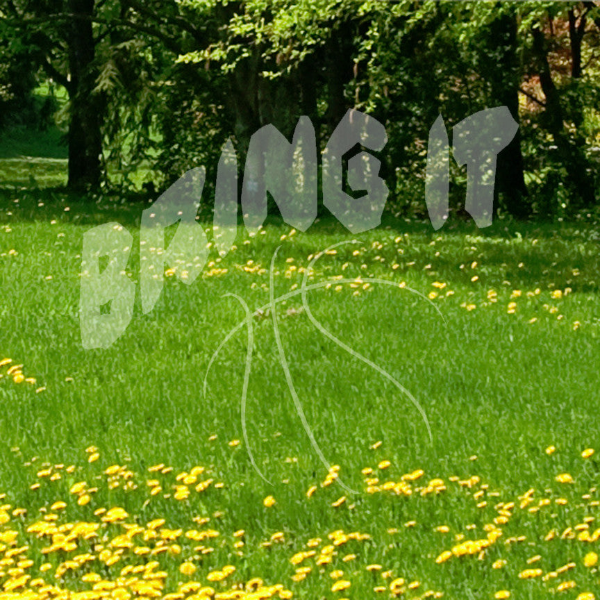 Bring It Basketball Sport