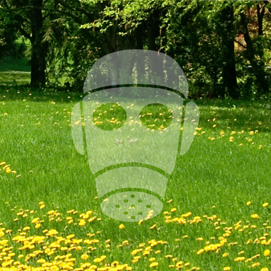 Military Gas Mask