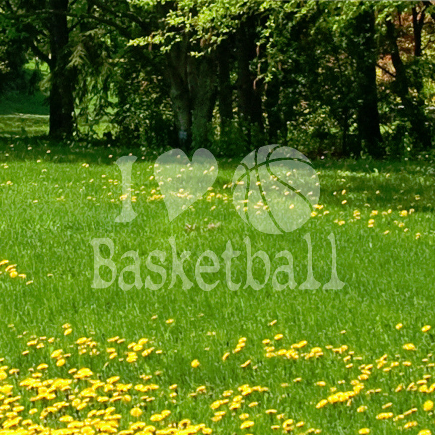 I Heart Love Basketball