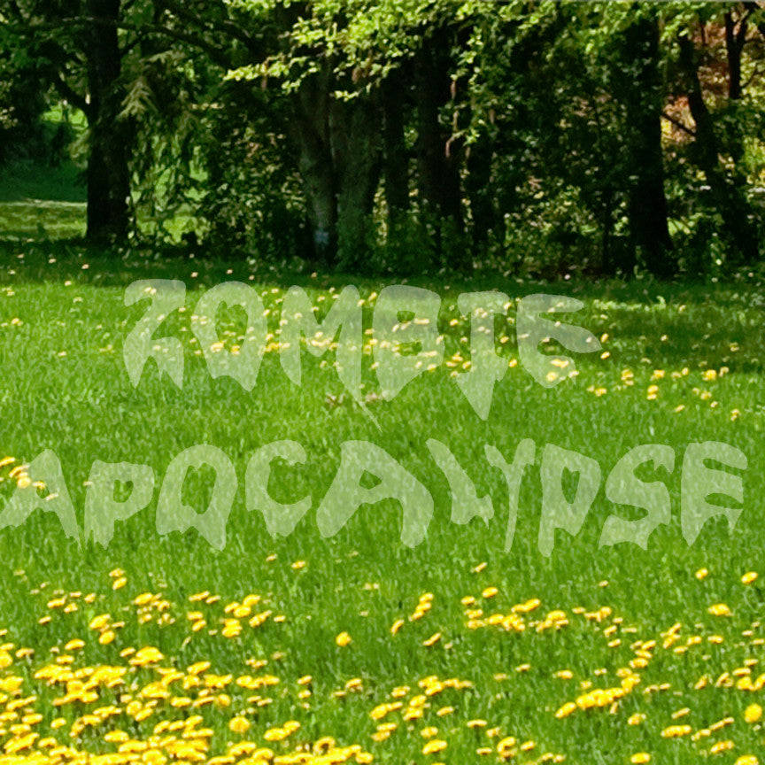 Zombie Apocalypse