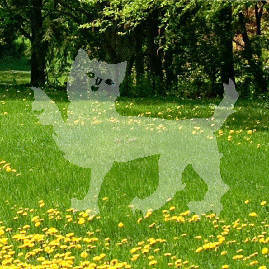 Scary Zombie Cat
