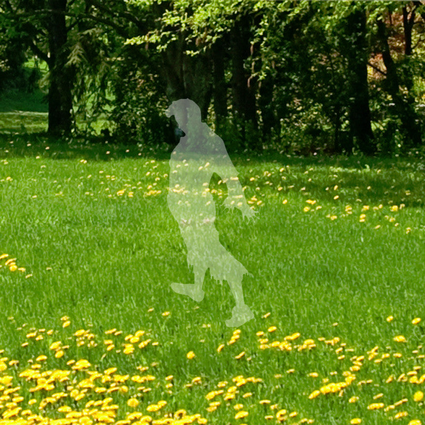 Zombie Silhouette Man Walker