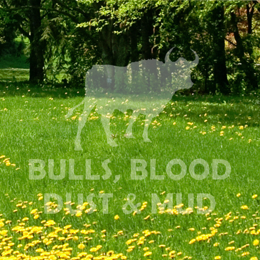 Bull Blood Dust Mud Rodeo