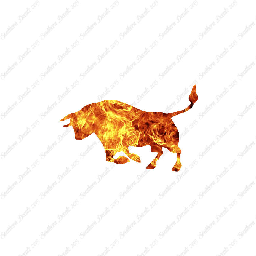 Bull Charging Angry