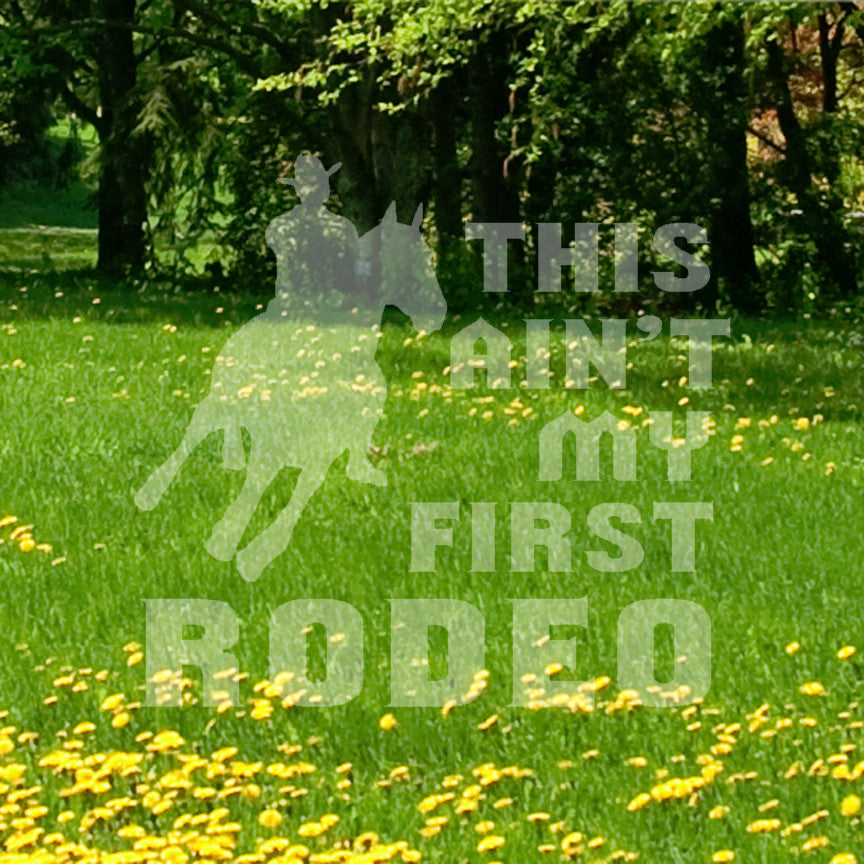 Ain't First Rodeo Bronco