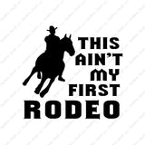 Ain't First Rodeo Bronco