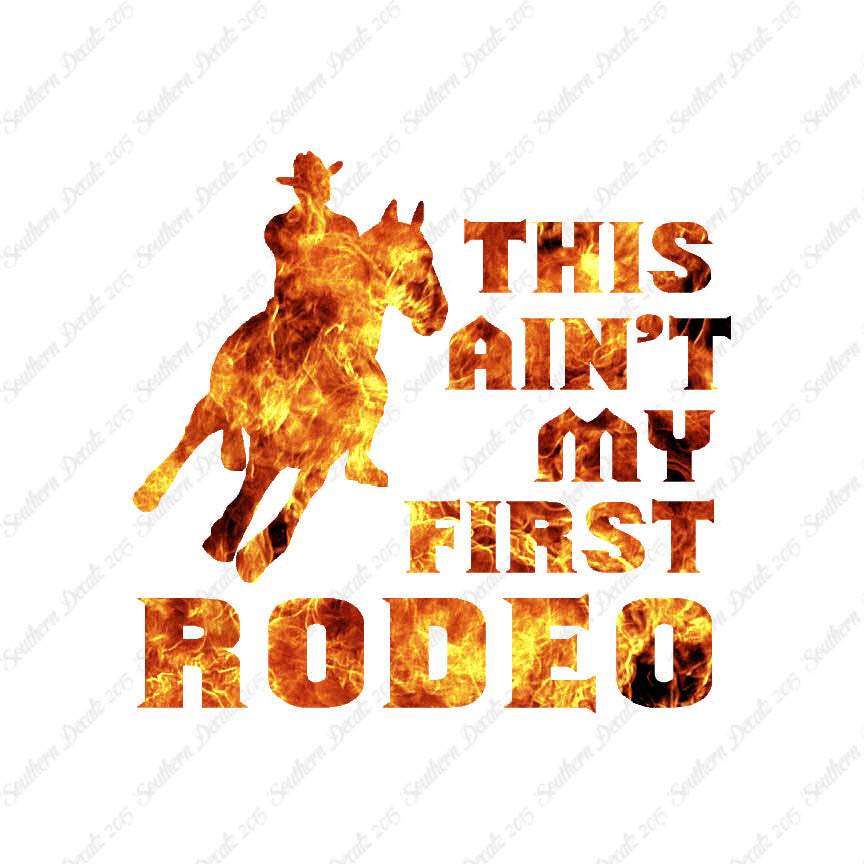Ain't First Rodeo Bronco