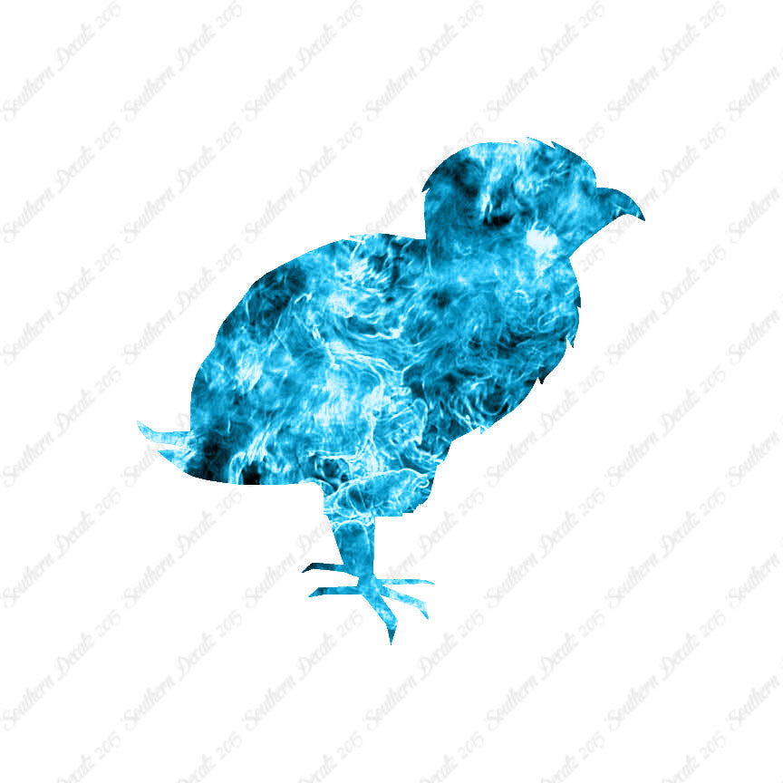 Baby Chicken Chick Poultry