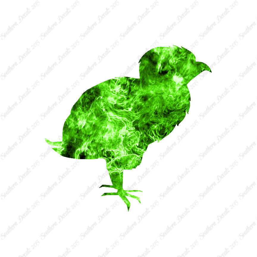 Baby Chicken Chick Poultry