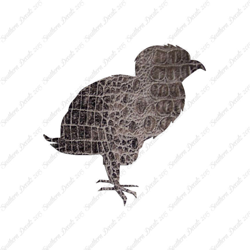 Baby Chicken Chick Poultry
