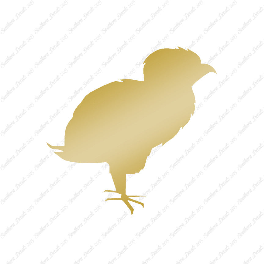 Baby Chicken Chick Poultry