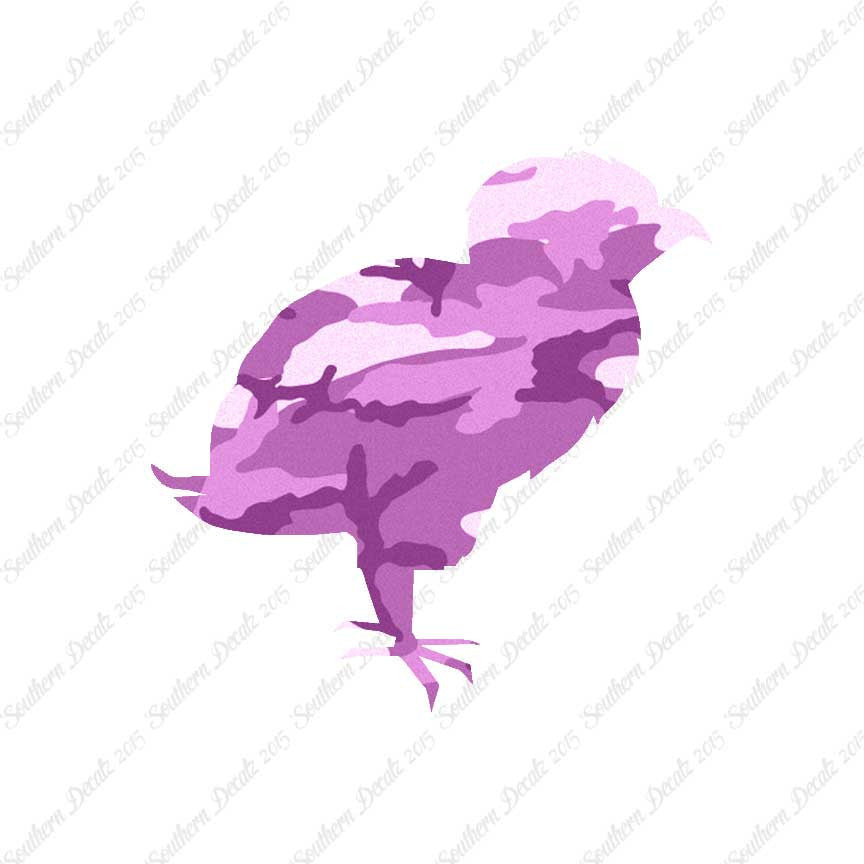 Baby Chicken Chick Poultry