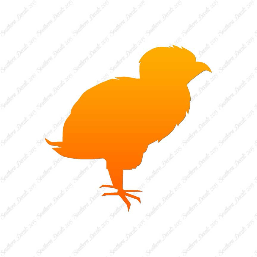 Baby Chicken Chick Poultry