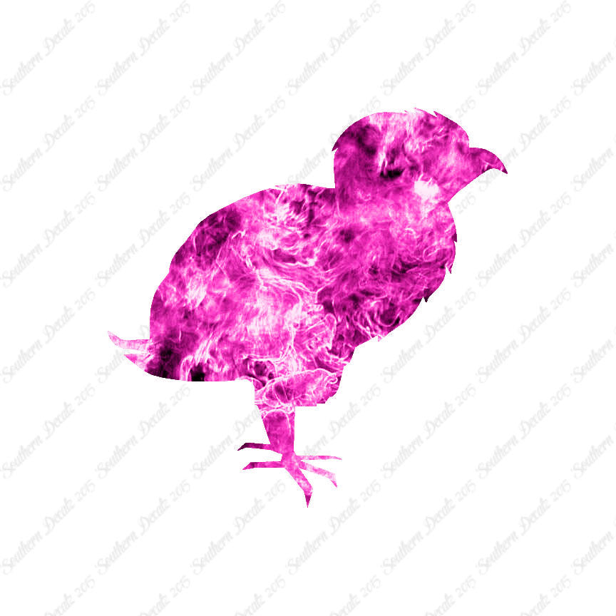 Baby Chicken Chick Poultry