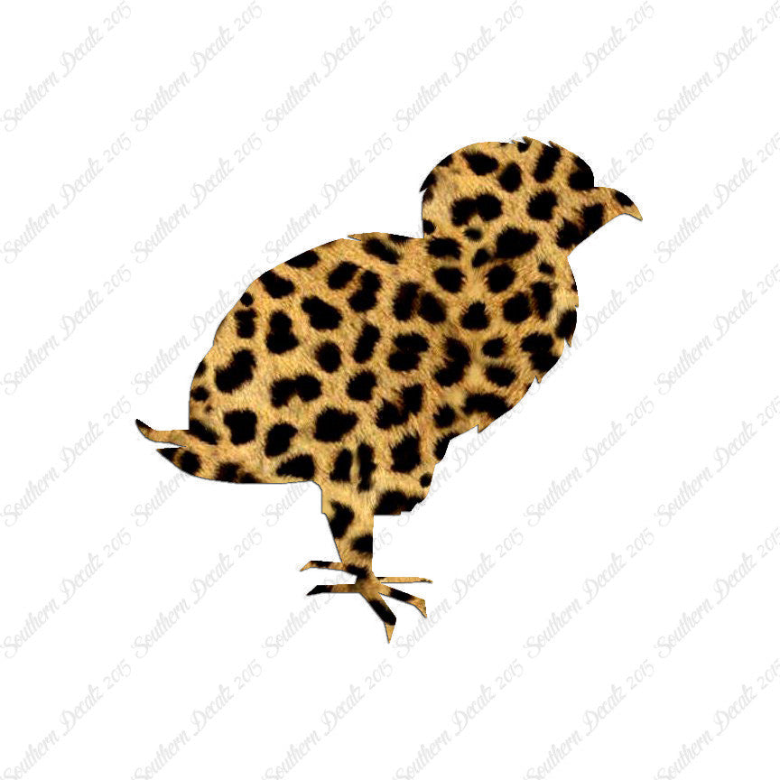 Baby Chicken Chick Poultry
