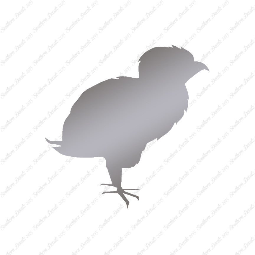 Baby Chicken Chick Poultry