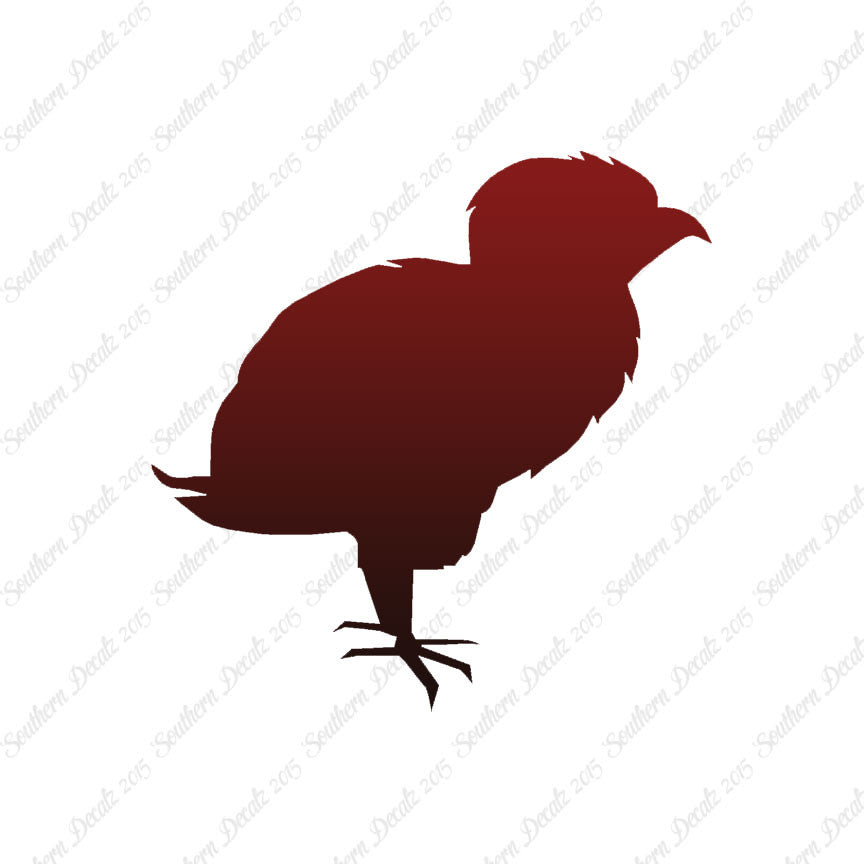 Baby Chicken Chick Poultry