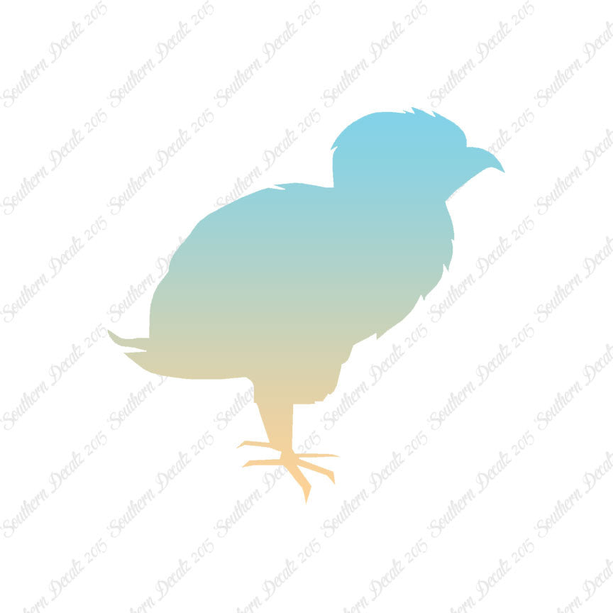Baby Chicken Chick Poultry