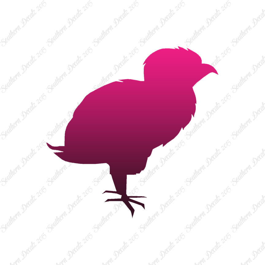 Baby Chicken Chick Poultry