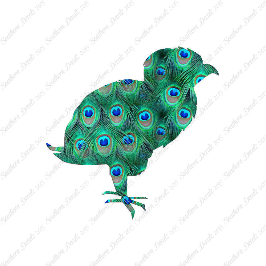 Baby Chicken Chick Poultry