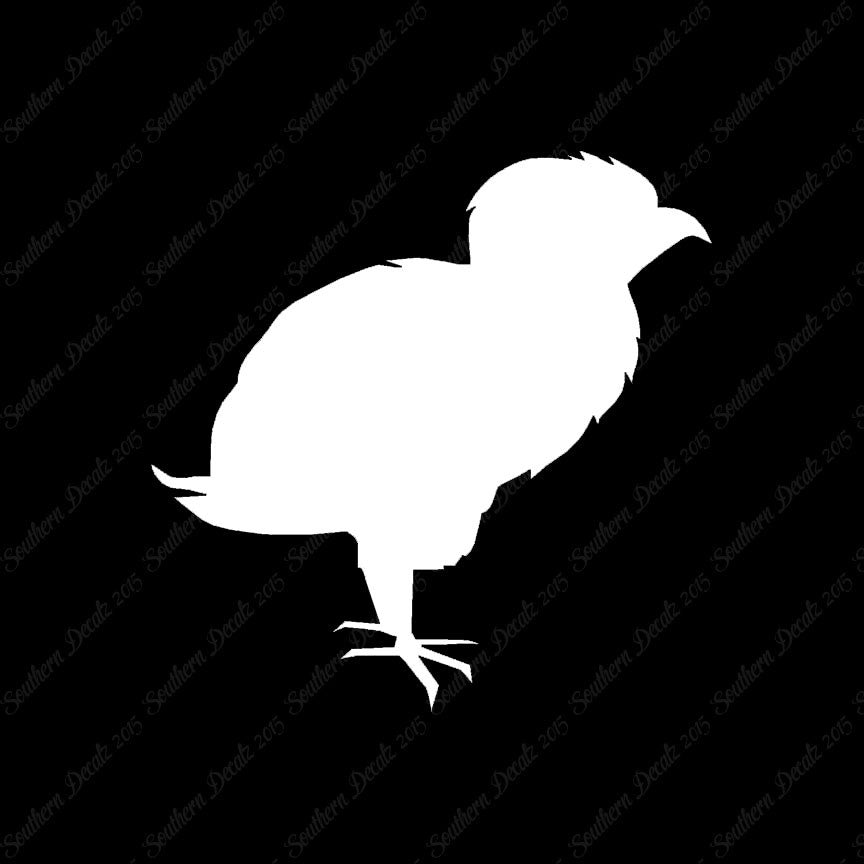 Baby Chicken Chick Poultry