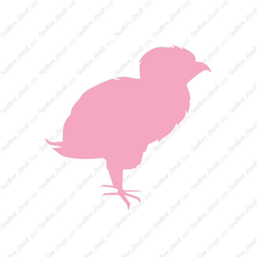 Baby Chicken Chick Poultry